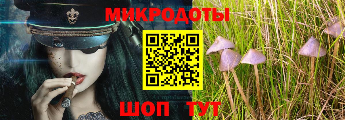 Галлюциногенные грибы Psilocybine cubensis Тверь