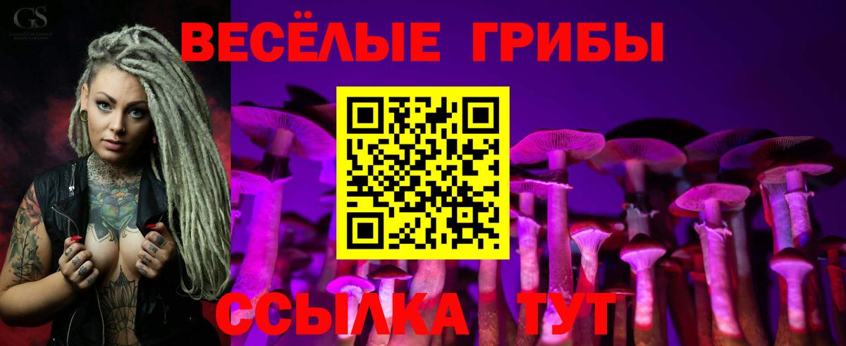 Галлюциногенные грибы прущие грибы  купить закладку  Тверь  Вход с VPN 
