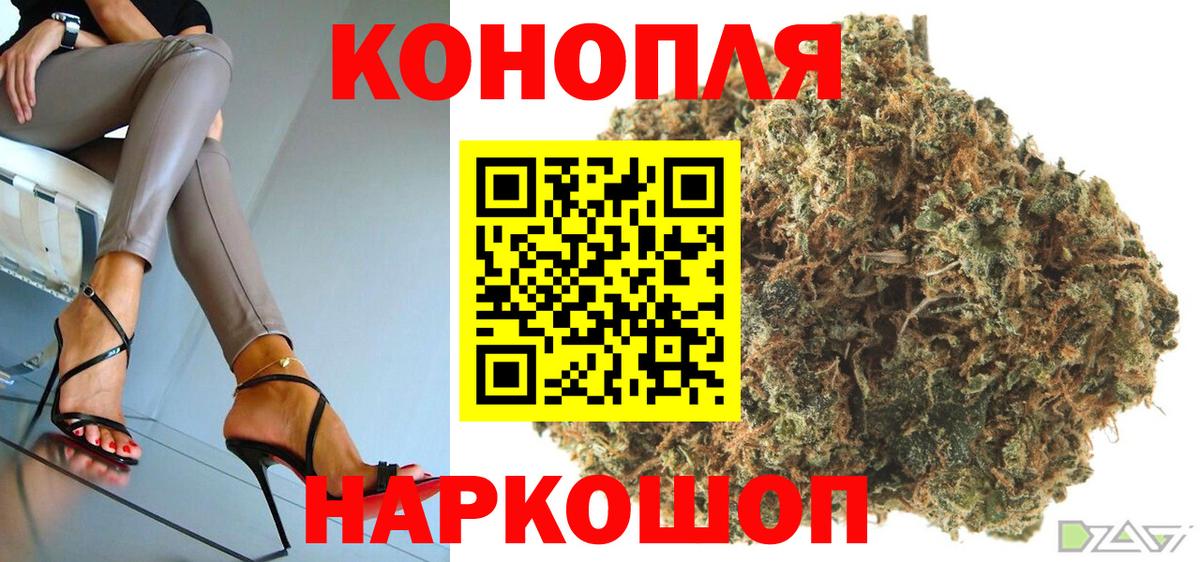 Бошки марихуана конопля Тверь